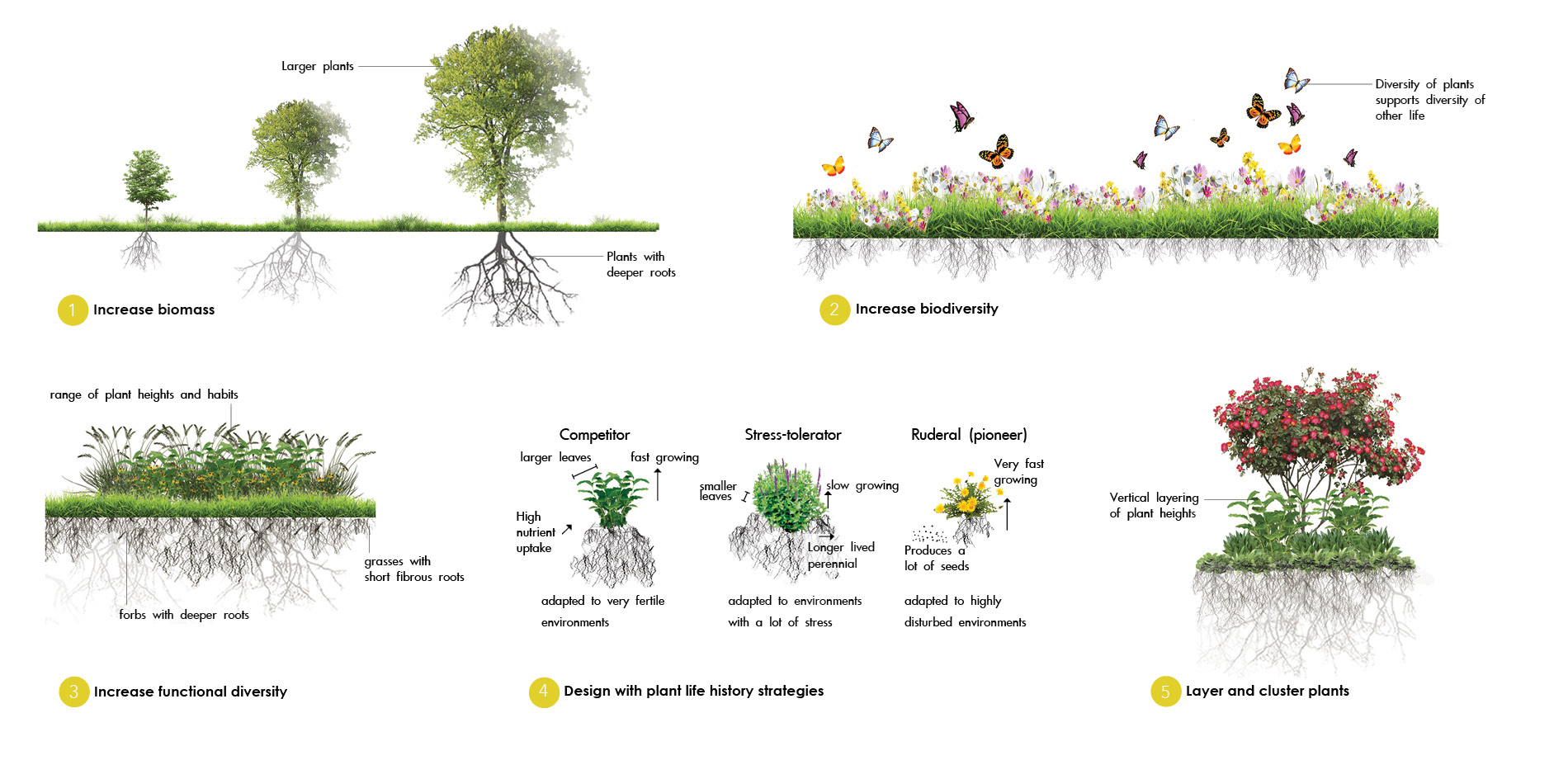Design Strategies for Carbon Sequestration